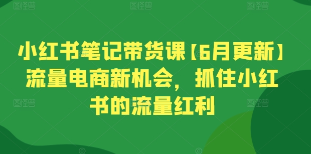 小红书笔记带货课【6月更新】流量电商新机会，抓住小红书的流量红利-第一资源站