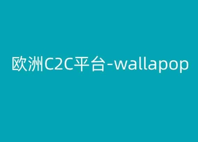 欧洲C2C平台-wallapop-kim跨境电商教程-第一资源站