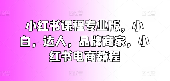 小红书课程专业版，小白，达人，品牌商家，小红书电商教程-第一资源站