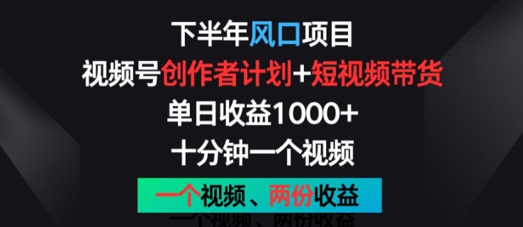 下半年风口项目，视频号创作者计划+视频带货，一个视频两份收益，十分钟一个视频【揭秘】-第一资源站