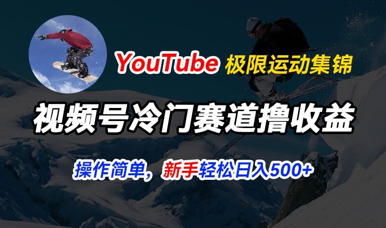 视频号冷门赛道撸收益，YouTube搬运极限运动集锦，暴力起号，操作简单流量高，轻松日入5张【揭秘】-第一资源站