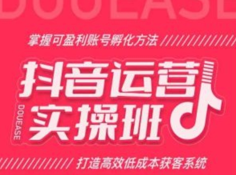 抖音运营实操班，掌握可盈利账号孵化方法，打造高效低成本获客系统-第一资源站