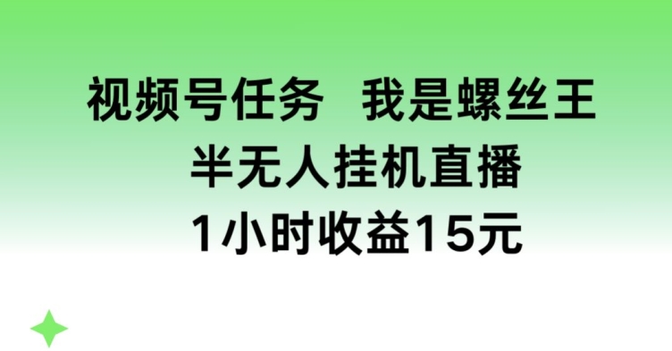 视频号任务，我是螺丝王， 半无人挂机1小时收益15元【揭秘】-第一资源站