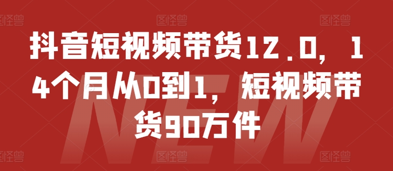 抖音短视频带货12.0，14个月从0到1，短视频带货90万件-第一资源站