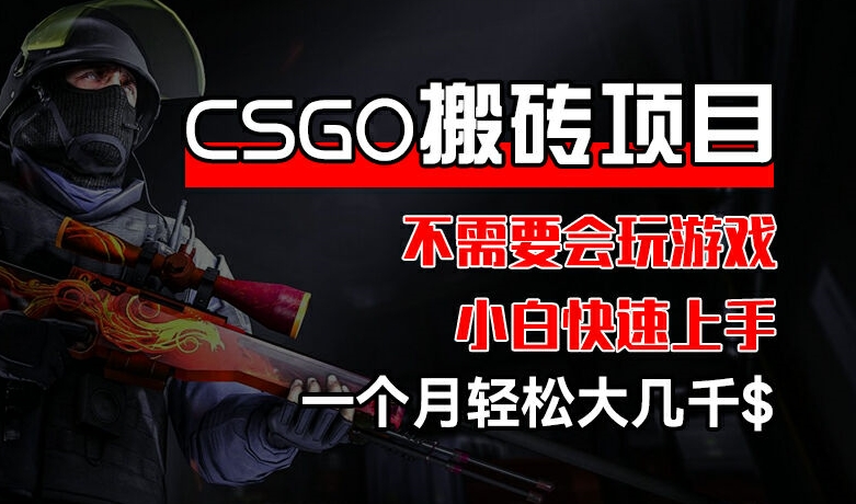 CSGO 装备搬砖项目，操作简单，不需要会玩游戏，小白也能快速上手，一个月轻松大几千【揭秘】-第一资源站