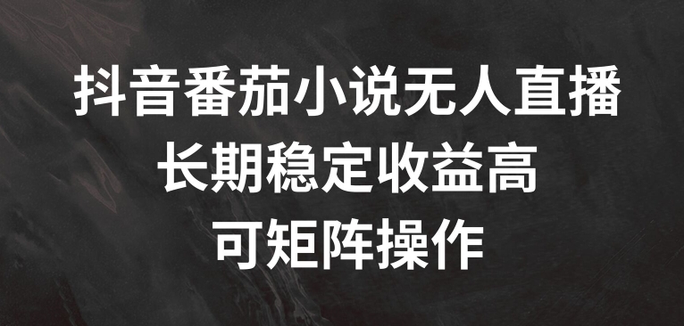 抖音番茄小说无人直播，长期稳定收益高，可矩阵操作【揭秘】-第一资源站