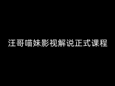 汪哥影视解说正式课程：剪映/PR教学/视解说剪辑5大黄金法则/全流程剪辑7把利器等等-第一资源站