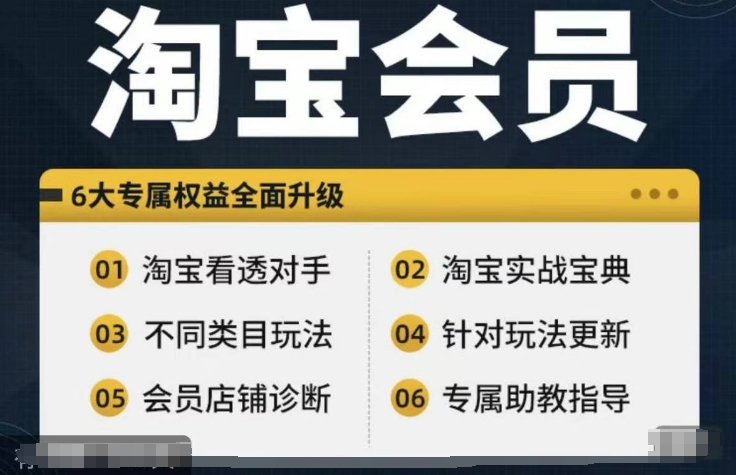 淘宝会员【淘宝所有课程，全面分析对手】，初级到高手全系实战宝典-第一资源站