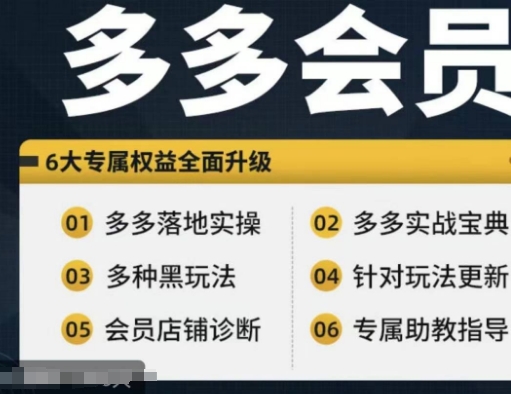 拼多多会员，拼多多实战宝典+实战落地实操，从新手到高阶内容全面覆盖-第一资源站