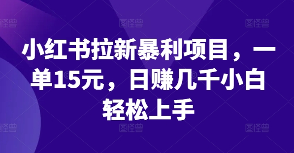 小红书拉新暴利项目，一单15元，日赚几千小白轻松上手【揭秘】-第一资源站