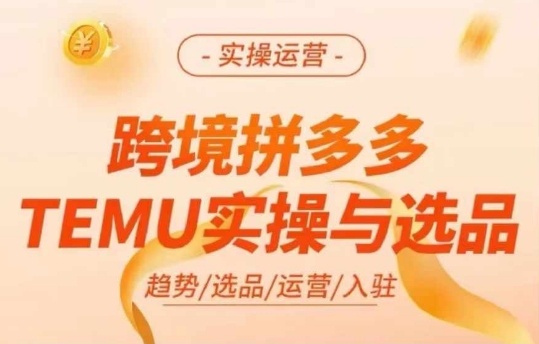 跨境拼多多TEMU实操与选品，多多temu跨境选品运营实操-第一资源站