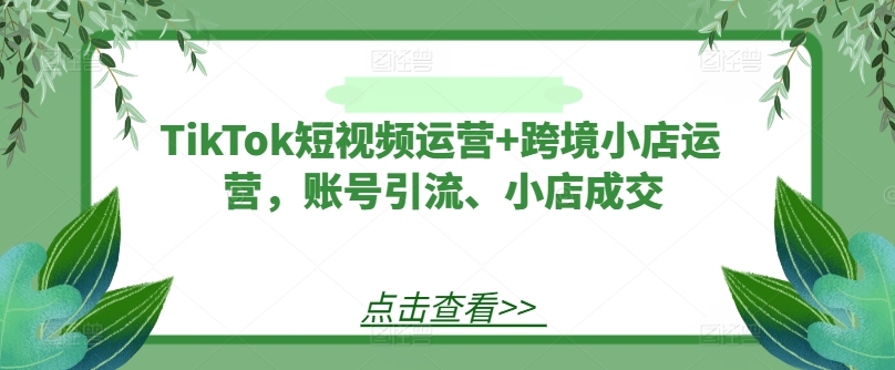 TikTok短视频运营+跨境小店运营，账号引流、小店成交-第一资源站