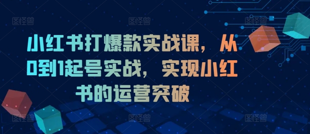 小红书打爆款实战课，从0到1起号实战，实现小红书的运营突破-第一资源站