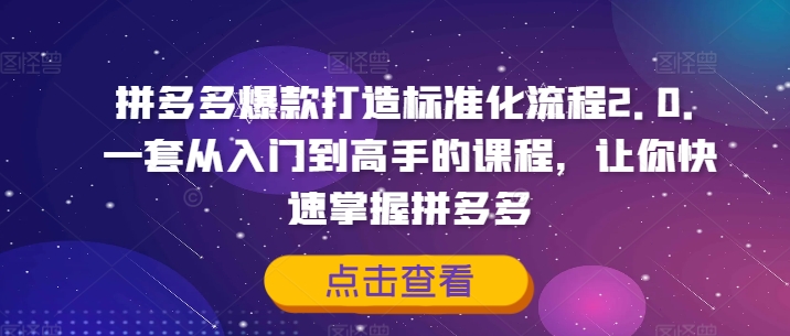 拼多多爆款打造标准化流程2.0，一套从入门到高手的课程，让你快速掌握拼多多-第一资源站