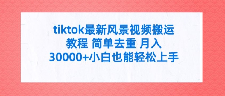 tiktok最新风景视频搬运教程 简单去重 月入3W+小白也能轻松上手【揭秘】-第一资源站