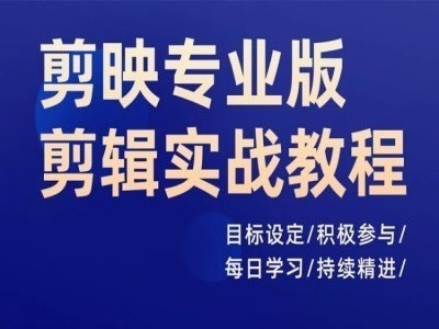 剪映专业版剪辑实战教程，目标设定/积极参与/每日学习/持续精进-第一资源站