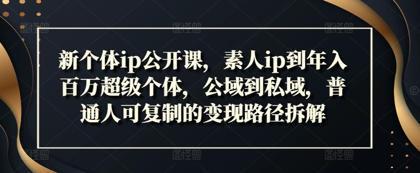 新个体ip公开课，素人ip到年入百万超级个体，公域到私域，普通人可复制的变现路径拆解-第一资源站