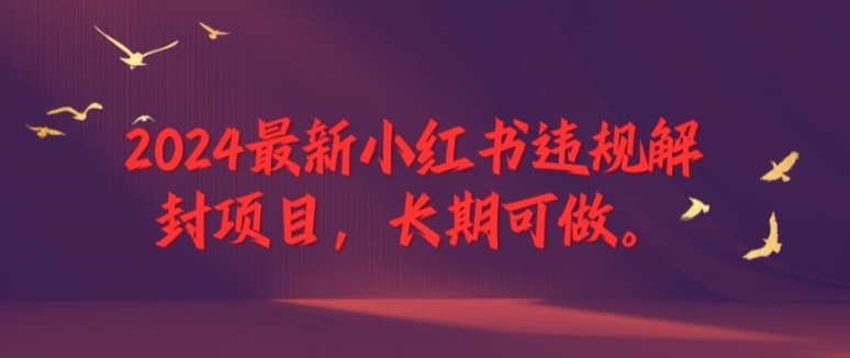 2024最新小红书违规解封项目，长期可做，一个可以做到退休的项目【揭秘】-第一资源站