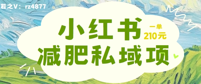 小红书减肥粉，私域变现项目，一单就达210元，小白也能轻松上手【揭秘】-第一资源站