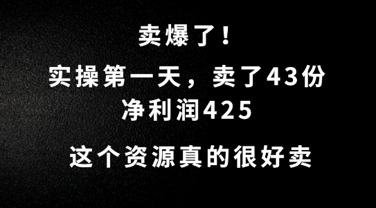 这个资源，需求很大，实操第一天卖了43份，净利润425【揭秘】-第一资源站