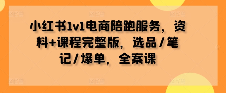 小红书1v1电商陪跑服务，资料+课程完整版，选品/笔记/爆单，全案课-第一资源站