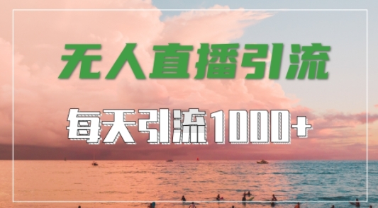 抖音快手视频号全平台通用，无人直播引流法，超暴力引流1000+高质量精准创业粉【揭秘】-第一资源站