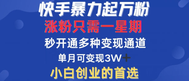 快手暴力起万粉，涨粉只需一星期，多种变现模式，直接秒开万合，单月变现过W【揭秘】-第一资源站