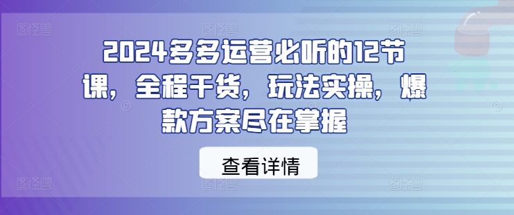 2024多多运营必听的12节课，全程干货，玩法实操，爆款方案尽在掌握-第一资源站