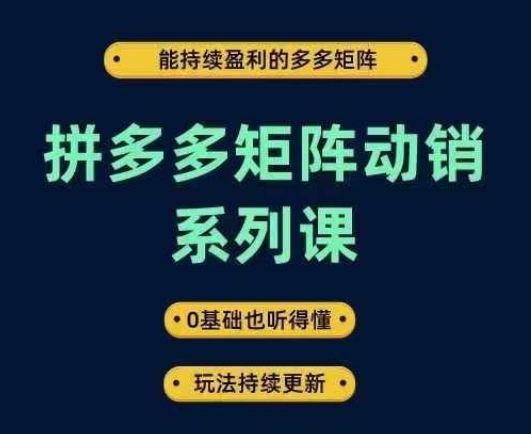 拼多多矩阵动销系列课，能持续盈利的多多矩阵，0基础也听得懂，玩法持续更新-第一资源站