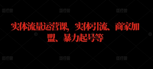 实体流量运营课，实体引流、商家加盟、暴力起号等-第一资源站