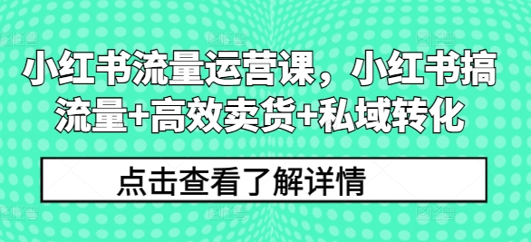 小红书流量运营课，小红书搞流量+高效卖货+私域转化-第一资源站