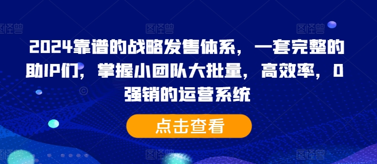 2024靠谱的战略发售体系，一套完整的助IP们，掌握小团队大批量，高效率，0 强销的运营系统-第一资源站