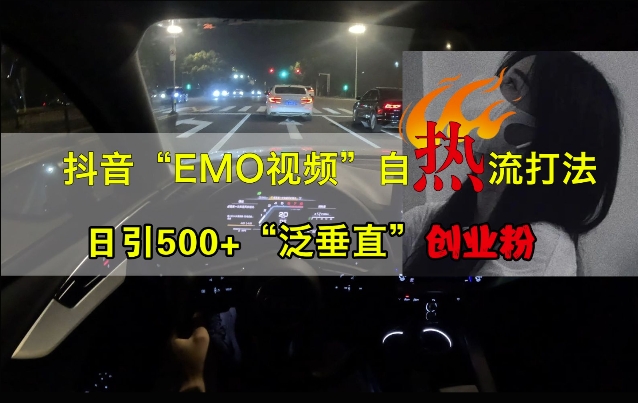 抖音EMO视频自热打法，日引500+“泛垂直”创业粉-第一资源站