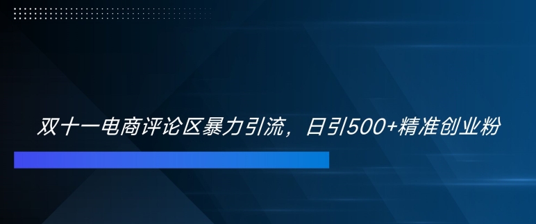 双十一电商评论区暴力引流，日引500+精准创业粉【揭秘】-第一资源站