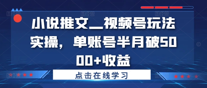 小说推文—视频号玩法实操，单账号半月破5000+收益-第一资源站