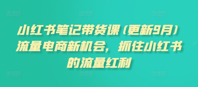 小红书笔记带货课(更新10月)流量电商新机会，抓住小红书的流量红利-第一资源站