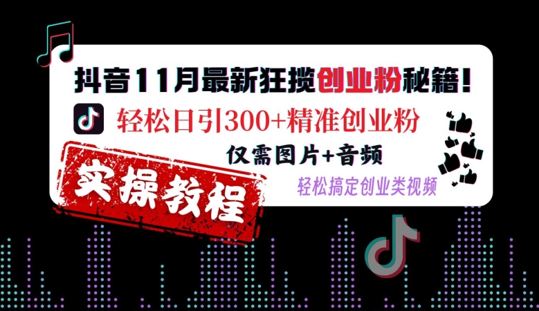 抖音11月最新狂揽创业粉秘籍，轻松日引300+精准创业粉，仅需图片+音频，轻松搞定创业类视频-第一资源站