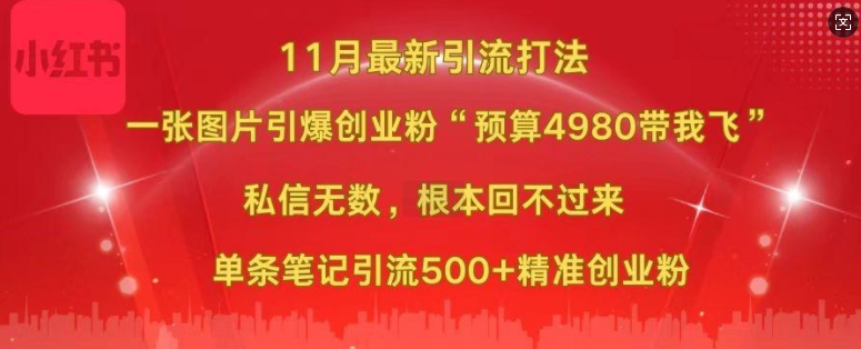 小红书11月最新图片打粉，一张图片引爆创业粉，“预算4980带我飞”，单条引流500+精准创业粉-第一资源站