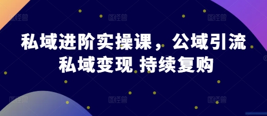 私域进阶实操课，公域引流 私域变现 持续复购-第一资源站