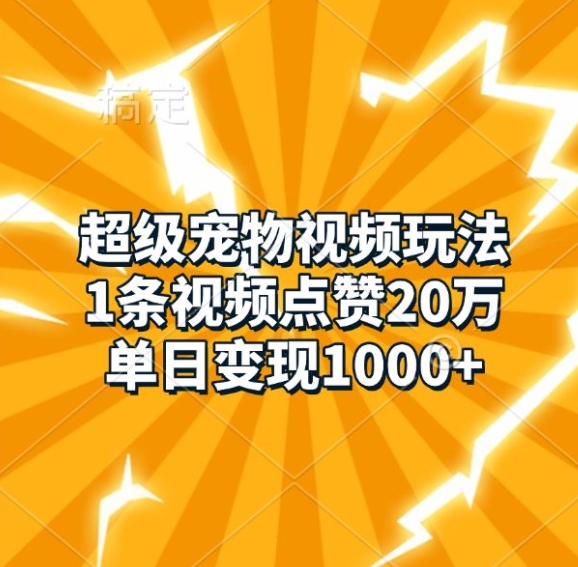 超级宠物视频玩法，1条视频点赞20万，单日变现1k-第一资源站