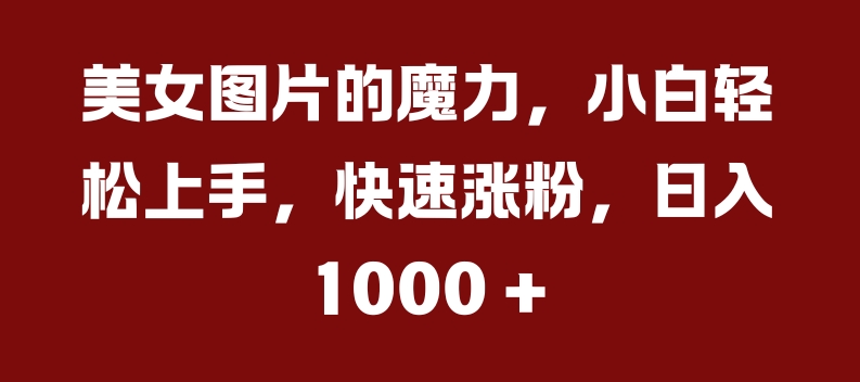 美女图片的魔力，小白轻松上手，快速涨粉，日入几张【揭秘】-第一资源站