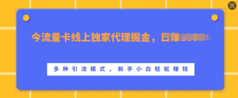 流量卡线上独家代理掘金，日入1k+ ，多种引流模式，新手小白轻松上手【揭秘】-第一资源站