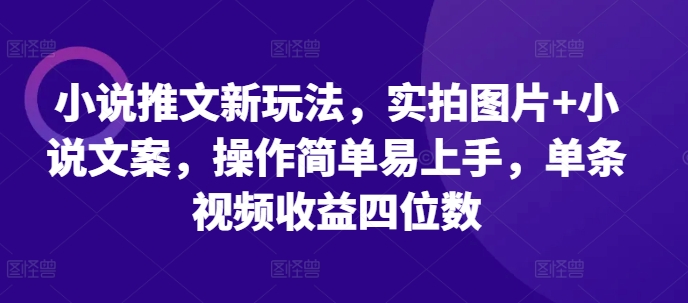 小说推文新玩法，实拍图片+小说文案，操作简单易上手，单条视频收益四位数-第一资源站