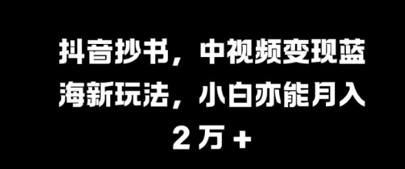 抖音抄书，中视频变现蓝海新玩法，小白亦能月入 过W【揭秘】-第一资源站