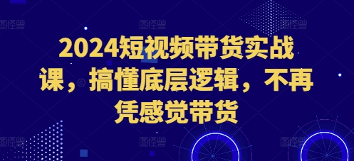 2024短视频带货实战课，搞懂底层逻辑，不再凭感觉带货-第一资源站