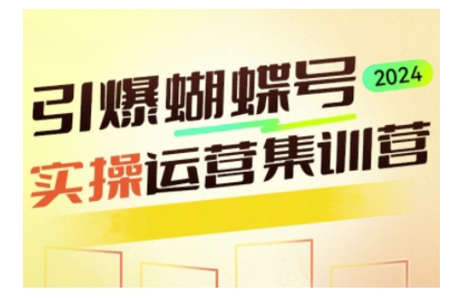 引爆蝴蝶号实操运营，助力你深度掌握蝴蝶号运营，实现高效实操，开启流量变现之路-第一资源站