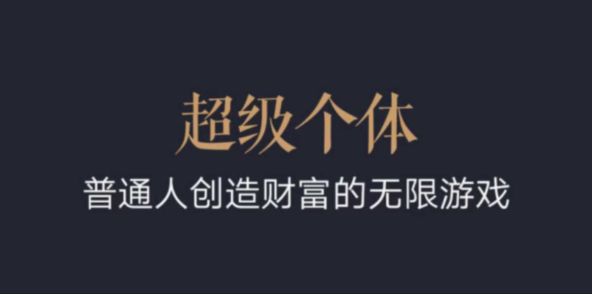 超级个体：2024-2025翻盘指南，普通人创造财富的无限游戏-第一资源站