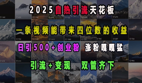 2025自热引流天花板，一条视频能带来四位数的收益，引流+变现双管齐下，日引500+创业粉，涨粉嘎嘎猛-第一资源站