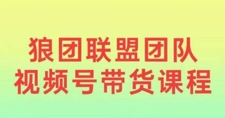 狼团联盟2024视频号带货，0基础小白快速入局视频号-第一资源站