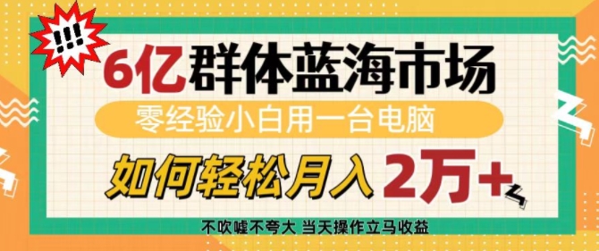 6亿群体蓝海市场，零经验小白用一台电脑，如何轻松月入过w【揭秘】-第一资源站